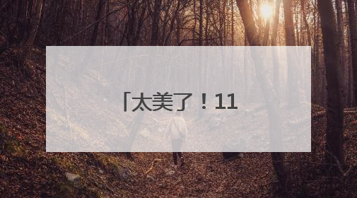 太美了！11万株！福州这里绚丽多彩！