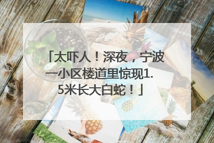 太吓人！深夜，宁波一小区楼道里惊现1.5米长大白蛇！