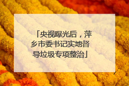 央视曝光后，萍乡市委书记实地督导垃圾专项整治