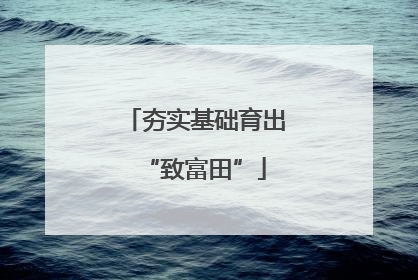 夯实基础育出“致富田”
