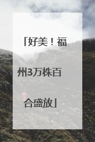 好美！福州3万株百合盛放