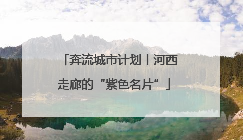 奔流城市计划丨河西走廊的“紫色名片”