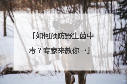 如何预防野生菌中毒？专家来教你→