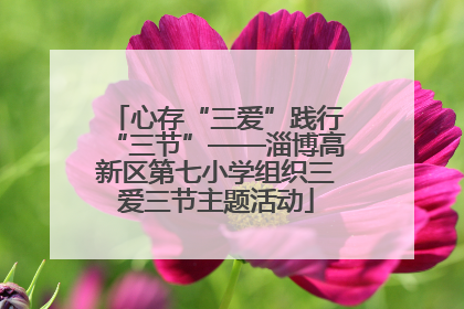 心存“三爱”践行“三节”——淄博高新区第七小学组织三爱三节主题活动