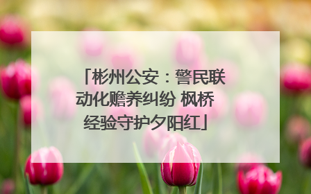 彬州公安：警民联动化赡养纠纷 枫桥经验守护夕阳红
