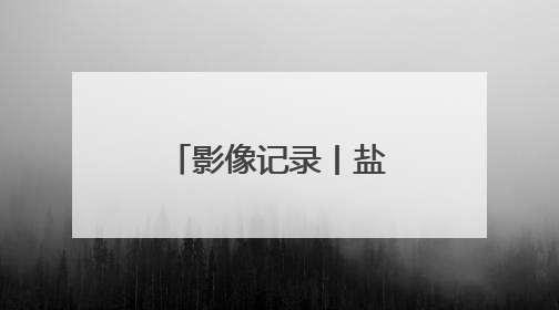 影像记录丨盐碱地上麦收记