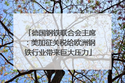德国钢铁联合会主席：美加征关税给欧洲钢铁行业带来巨大压力