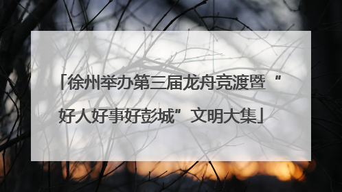 徐州举办第三届龙舟竞渡暨“好人好事好彭城”文明大集