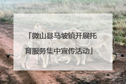 微山县马坡镇开展托育服务集中宣传活动