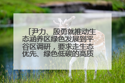 尹力、殷勇就推动生态涵养区绿色发展到平谷区调研，要求走生态优先、绿色低碳的高质量发展之路