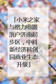 小米之家与格力电器落户济南起步区，中科新经济科创园商业生态升级