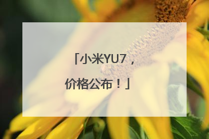 小米YU7，价格公布！