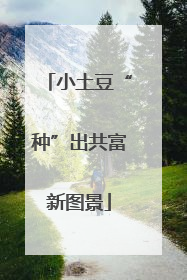 小土豆“种”出共富新图景