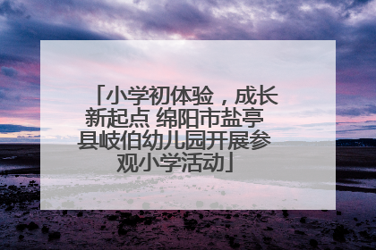 小学初体验，成长新起点 绵阳市盐亭县岐伯幼儿园开展参观小学活动
