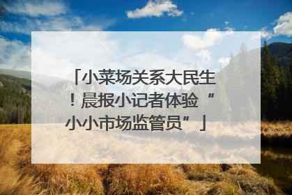 小菜场关系大民生！晨报小记者体验“小小市场监管员”
