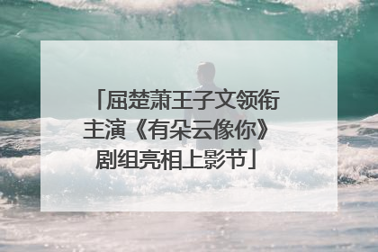 屈楚萧王子文领衔主演《有朵云像你》剧组亮相上影节