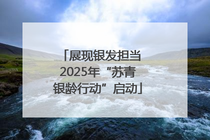 展现银发担当 2025年“苏青银龄行动”启动