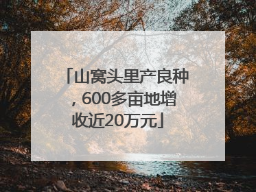 山窝头里产良种，600多亩地增收近20万元