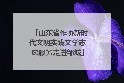 山东省作协新时代文明实践文学志愿服务走进邹城
