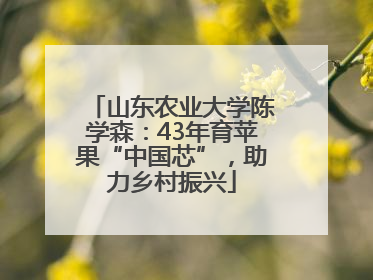 山东农业大学陈学森：43年育苹果“中国芯”，助力乡村振兴
