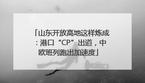 山东开放高地这样炼成：港口“CP”出道，中欧班列跑出加速度