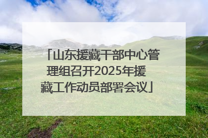 山东援藏干部中心管理组召开2025年援藏工作动员部署会议