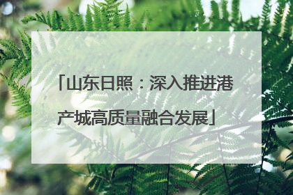 山东日照：深入推进港产城高质量融合发展
