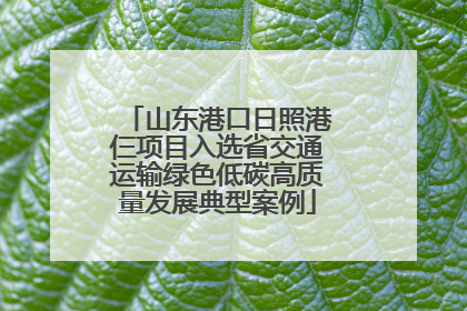 山东港口日照港仨项目入选省交通运输绿色低碳高质量发展典型案例