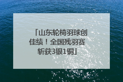 山东轮椅羽球创佳绩！全国残羽赛斩获3银1铜