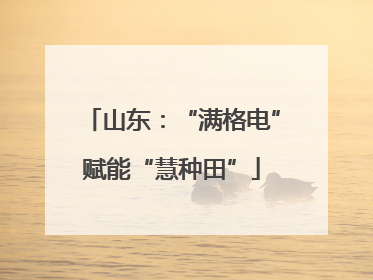山东：“满格电”赋能“慧种田”