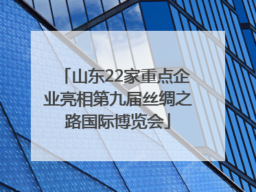 山东22家重点企业亮相第九届丝绸之路国际博览会