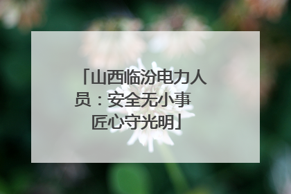 山西临汾电力人员：安全无小事 匠心守光明