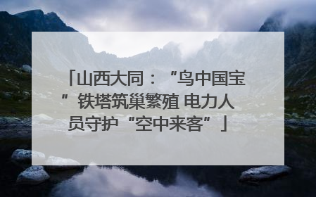 山西大同：“鸟中国宝”铁塔筑巢繁殖 电力人员守护“空中来客”