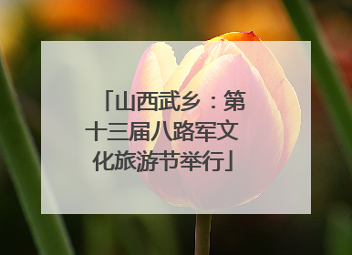 山西武乡：第十三届八路军文化旅游节举行