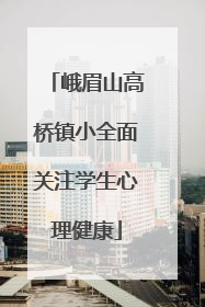 峨眉山高桥镇小全面关注学生心理健康