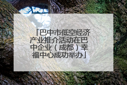 巴中市低空经济产业推介活动在巴中企业（成都）幸福中心成功举办