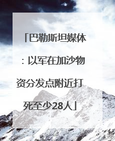 巴勒斯坦媒体：以军在加沙物资分发点附近打死至少28人