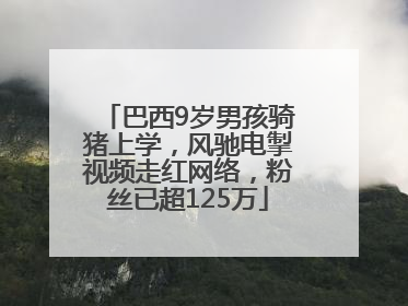 巴西9岁男孩骑猪上学，风驰电掣视频走红网络，粉丝已超125万