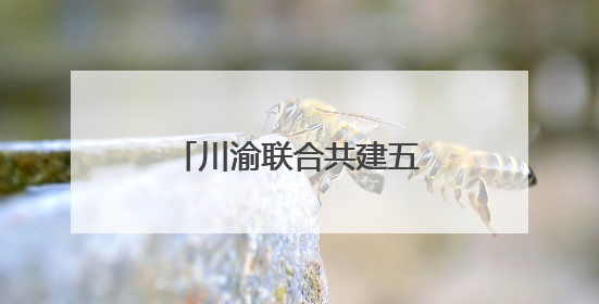川渝联合共建五项禁毒协作机制