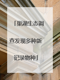巢湖生态调查发现多种新记录物种