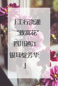 工行浇灌“致富花” 四川通江银耳绽芳华