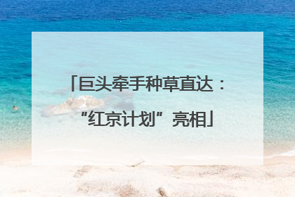 巨头牵手种草直达：“红京计划”亮相