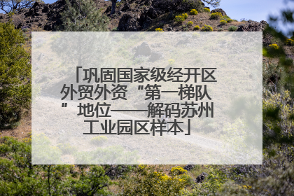 巩固国家级经开区外贸外资“第一梯队”地位——解码苏州工业园区样本