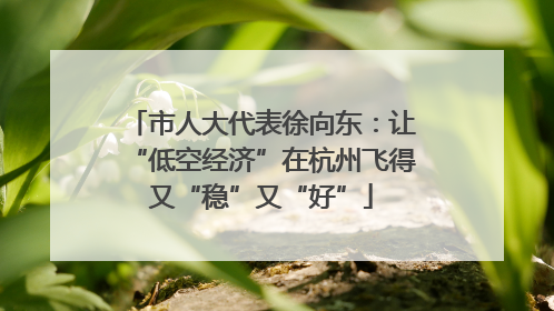 市人大代表徐向东：让“低空经济”在杭州飞得又“稳”又“好”