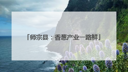 师宗县：香葱产业一路鲜