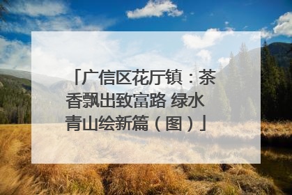 广信区花厅镇：茶香飘出致富路 绿水青山绘新篇（图）