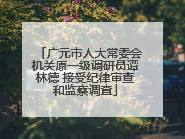 广元市人大常委会机关原一级调研员谭林德 接受纪律审查和监察调查