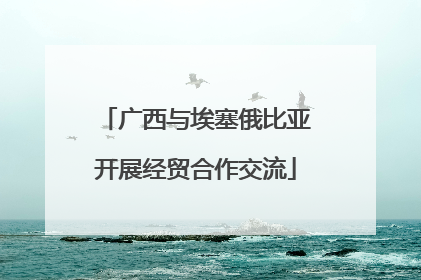 广西与埃塞俄比亚开展经贸合作交流