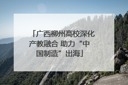 广西柳州高校深化产教融合 助力“中国制造”出海