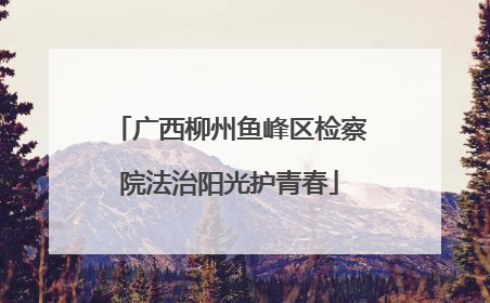 广西柳州鱼峰区检察院法治阳光护青春